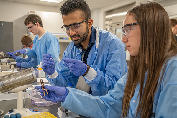 Students working in a medical laboratory