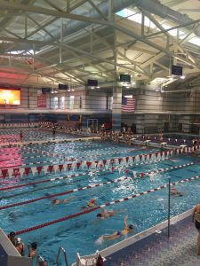 swimmers in the pool