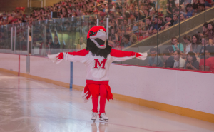 Swoop ice skating