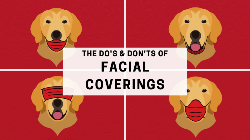 The do's and don'ts of facial coverings. Golden retriever wearing a mask incorrectly 3 ways and correctly once.