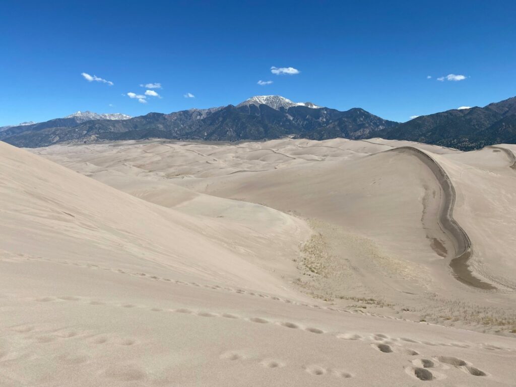 A vast landscape of rolling tan sand dunes in Colorado, featuring a prominent winding ridge and distant snow-capped mountain peaks under a clear blue sky.