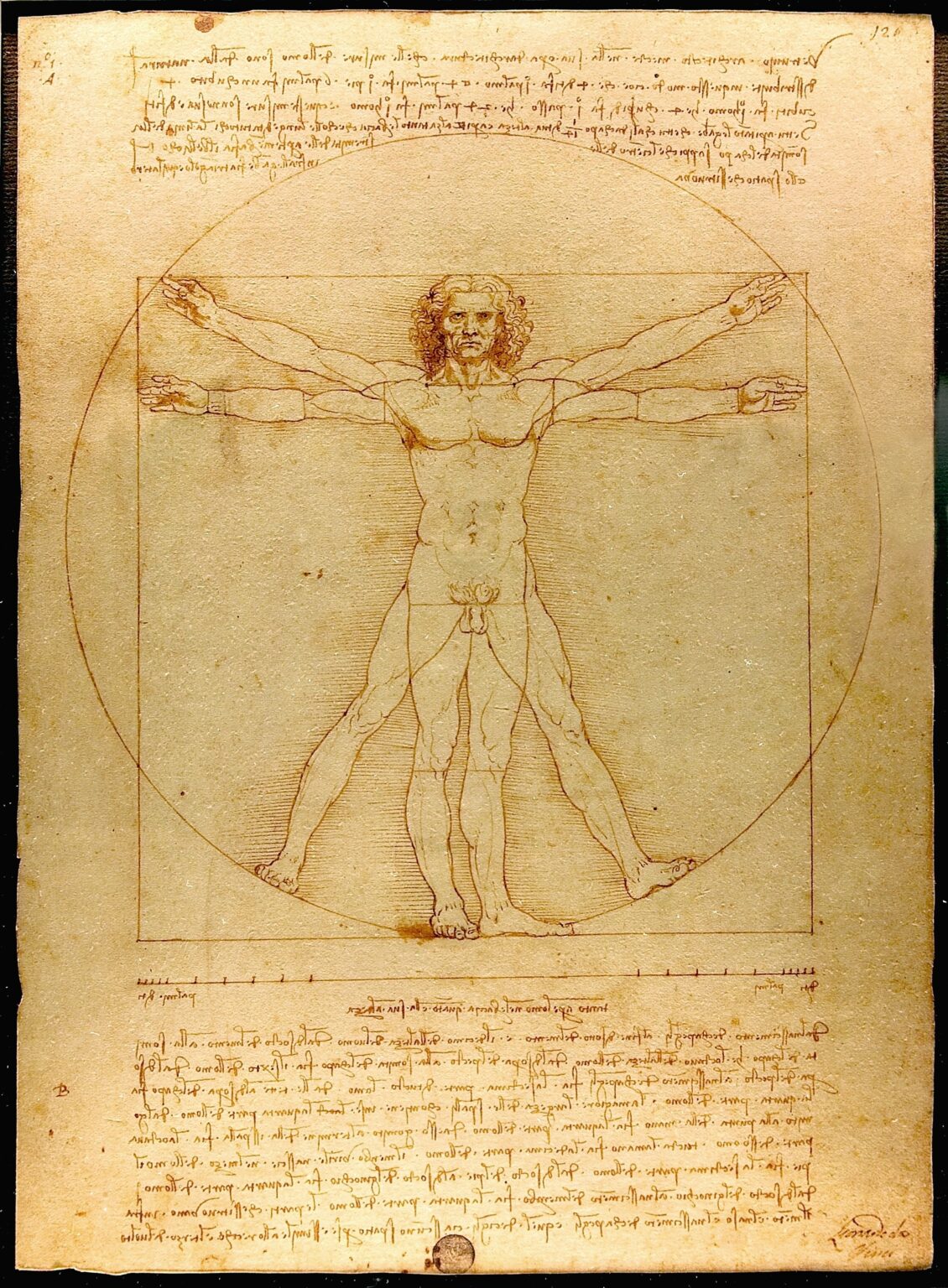 Humanism Visual 1.4 Perspective and Humanism in the Italian Renaissance – ART 188