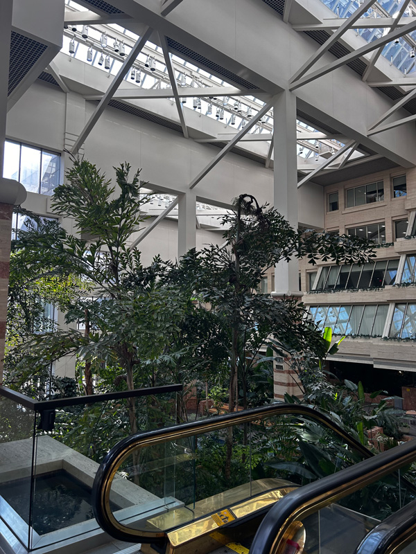 Photo of a planted atrium with large class windows