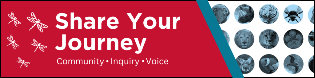 Project Dragonfly Banner with the text "Share your Journey" on it