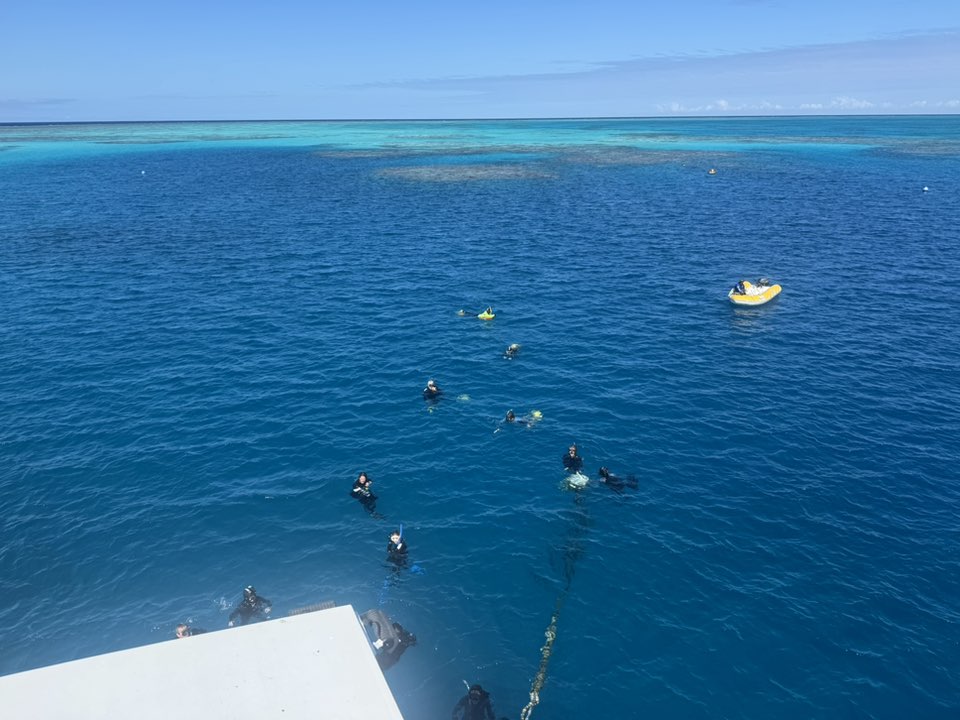 Students are swimming in the Great Reef during their EE Australia course.