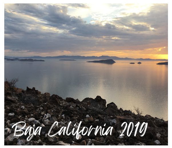 A beautiful sunset over the ocean with Baja California 2019 written on it in white text.