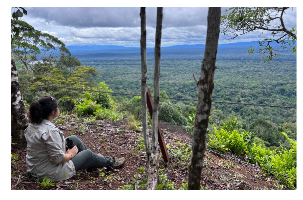 Embracing the Journey: Six Years of Heart Knowledge and Connection in Baja, Namibia, and Guyana