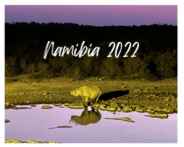 A rhino at a watering hole in Namibia with Namibia 2022 written in white text on the image
