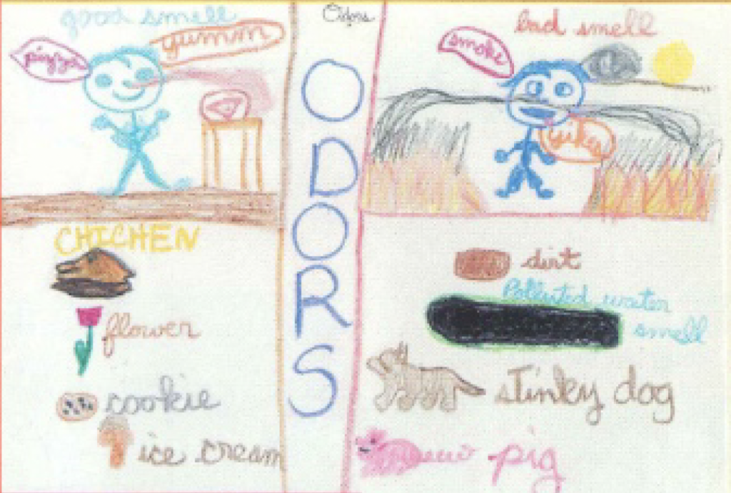 A student's colorful drawing showing various sources of smells, including a trash can, a pig, a dog, and a flower, with wavy lines representing odors moving through the air. 
