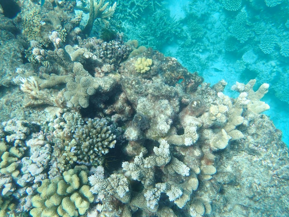 Outside Inn: A Study of Skeletal Homes