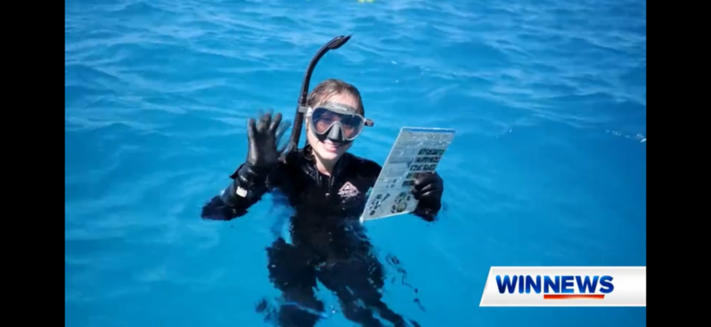 Screenshot from WINNEWS, Townsville, Australia showing Tate swimming in the Great Barrier Reef
