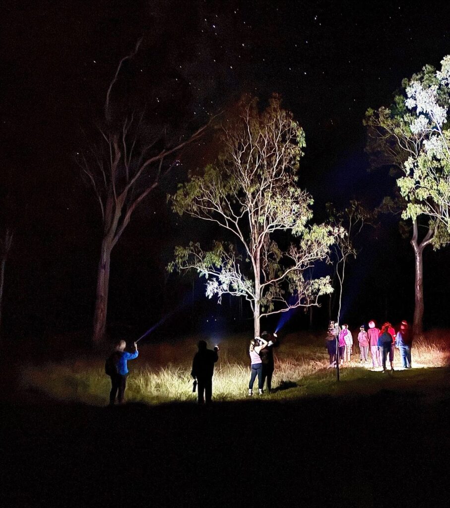 Class Night hike with Hidden Valley Cabins in the Paluma Range, North Queensland Australia, spotting Greater Gliders