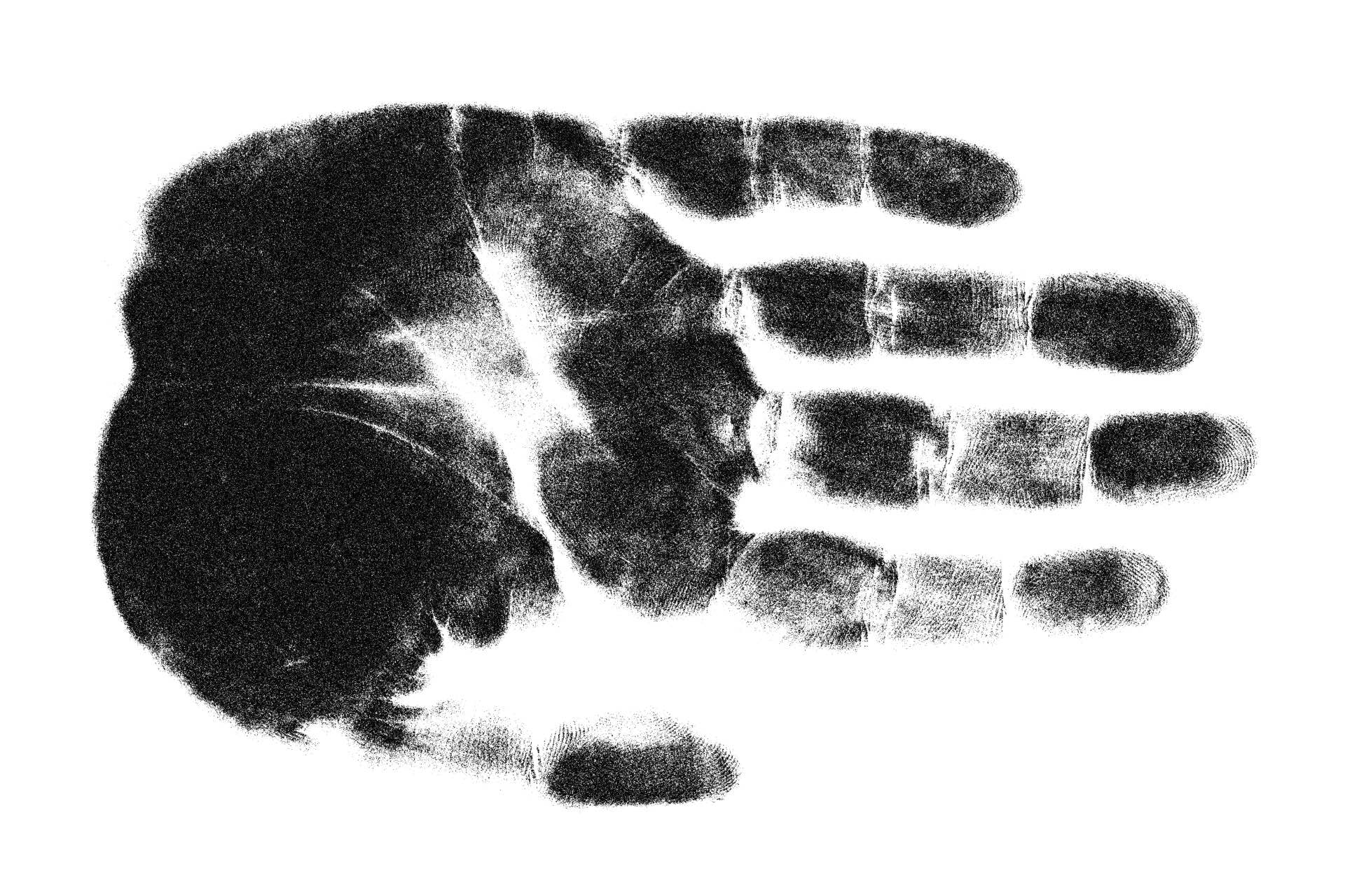 Dem Bones: How Many Bones Are in Your Hand?