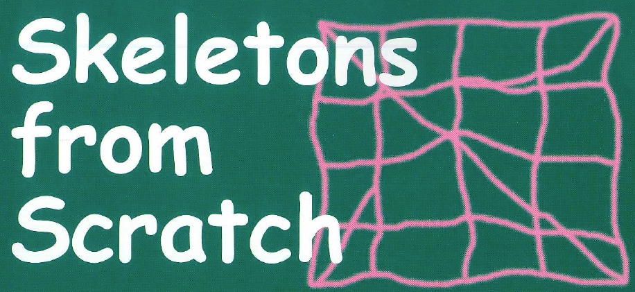 Skeletons from Scratch: The 24 Pipe-Cleaner Challenge