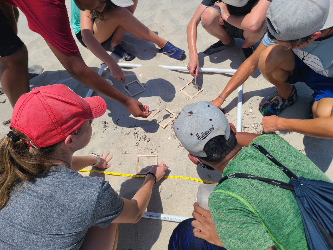 A group of high school students sitting on a sandy beach, using spoons and small wooden frames inside a larger white PVC quadrat to conduct a field study.