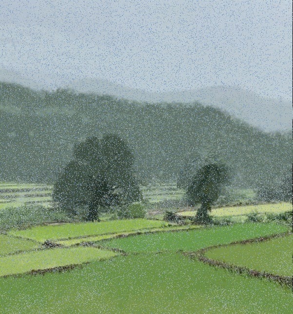 A scenic landscape view of segmented, bright green agricultural fields or rice paddies during a heavy, mist-like downpour. In the mid-ground, a couple of large, dark trees stand amidst the fields. The background features rolling hills covered in dense forest, partially obscured by the heavy rain and thick fog under an overcast sky.