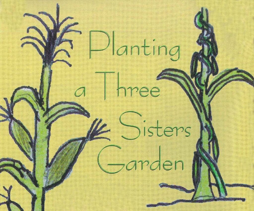 A hand-drawn colored pencil illustration on a yellow textured background with the title text "Planting a Three Sisters Garden" written in green cursive in the center. On the left is a green corn stalk plant with long leaves, and on the right is a tall green plant stalk with a bean vine spiraling upward around it.