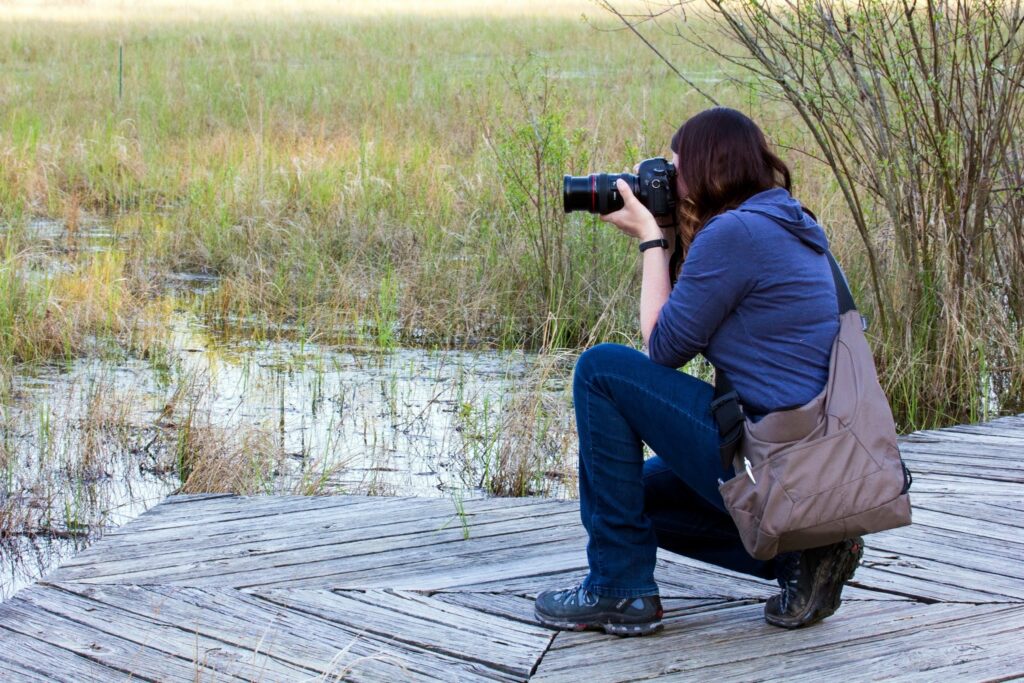 A photographer in blue jeans and a blue hoodie crouches on a wooden boardwalk in a marshy wetland, focusing a professional camera with a long lens on a subject out of frame.