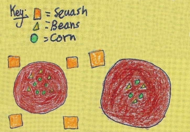 Colorful, circular student diagrams mapping out the strategic arrangement of triangles, squares, and ovals representing corn, bean, and zucchini seeds before and after thinning.