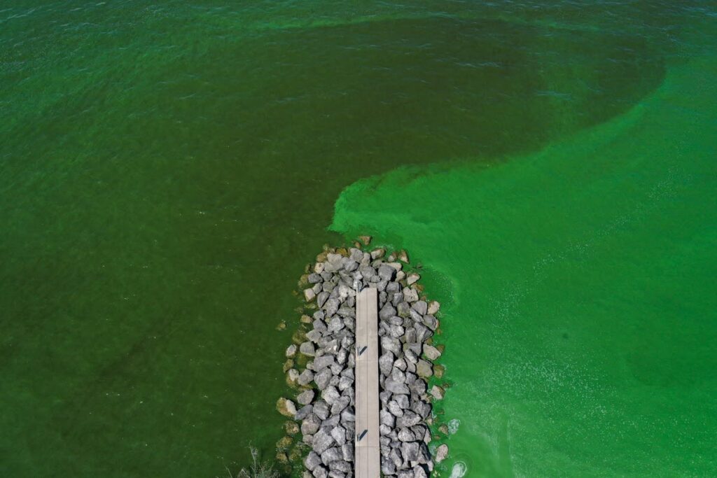 An aerial, top-down photograph of a body of water split by a stone pier; the water on the right is a bright, opaque lime green, while the water on the left is a deeper olive green.