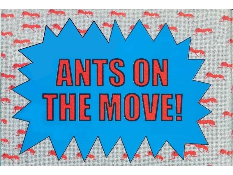 A vintage, vibrant blue comic-book style starburst shape with the words "ANTS ON THE MOVE!" written in bold red capital letters. The background features a gray textured pattern covered with small, repeating illustrations of crawling red ants.