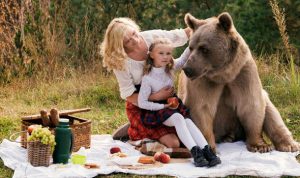 Bear-picnic-620718