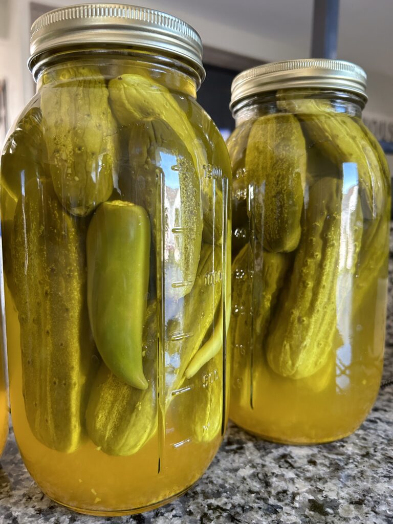 Two huge jars of homemade pickles