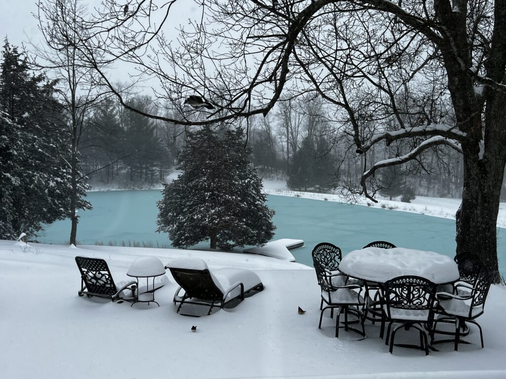 View of a frozen pond and snow-covered garden furniture next to overarching trees