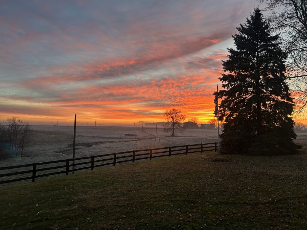 bright orange and blue sunrise overlooks frosted-over farmland. A huge evergreen stands in the foreground and is silhouetted by the sun peeking over the horizon.