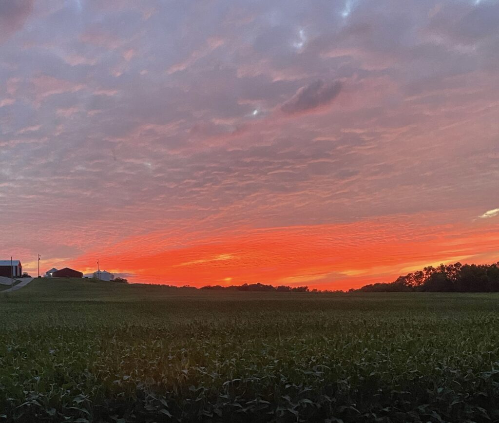 A bright red and purple sunset over an Indiana or Ohio field, with some trees and a few buildings in the distance
