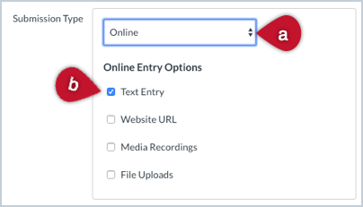 Screenshot showing options for submission type in a Canvas assignment