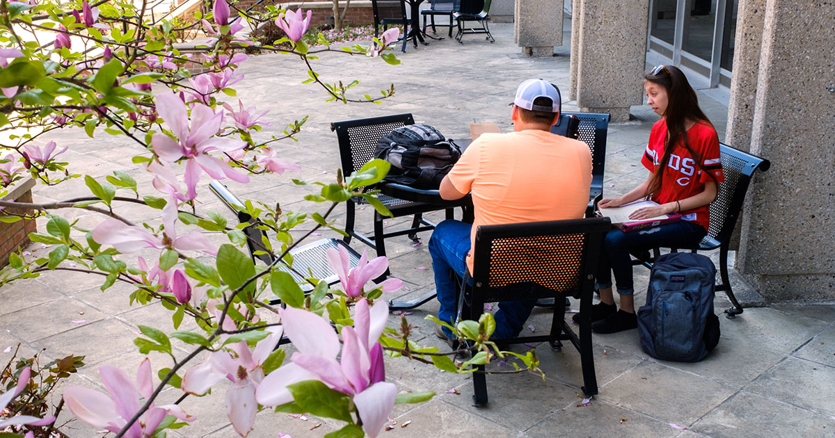 Students using AI to help brainstorm writing ideas on their laptop computers outside
