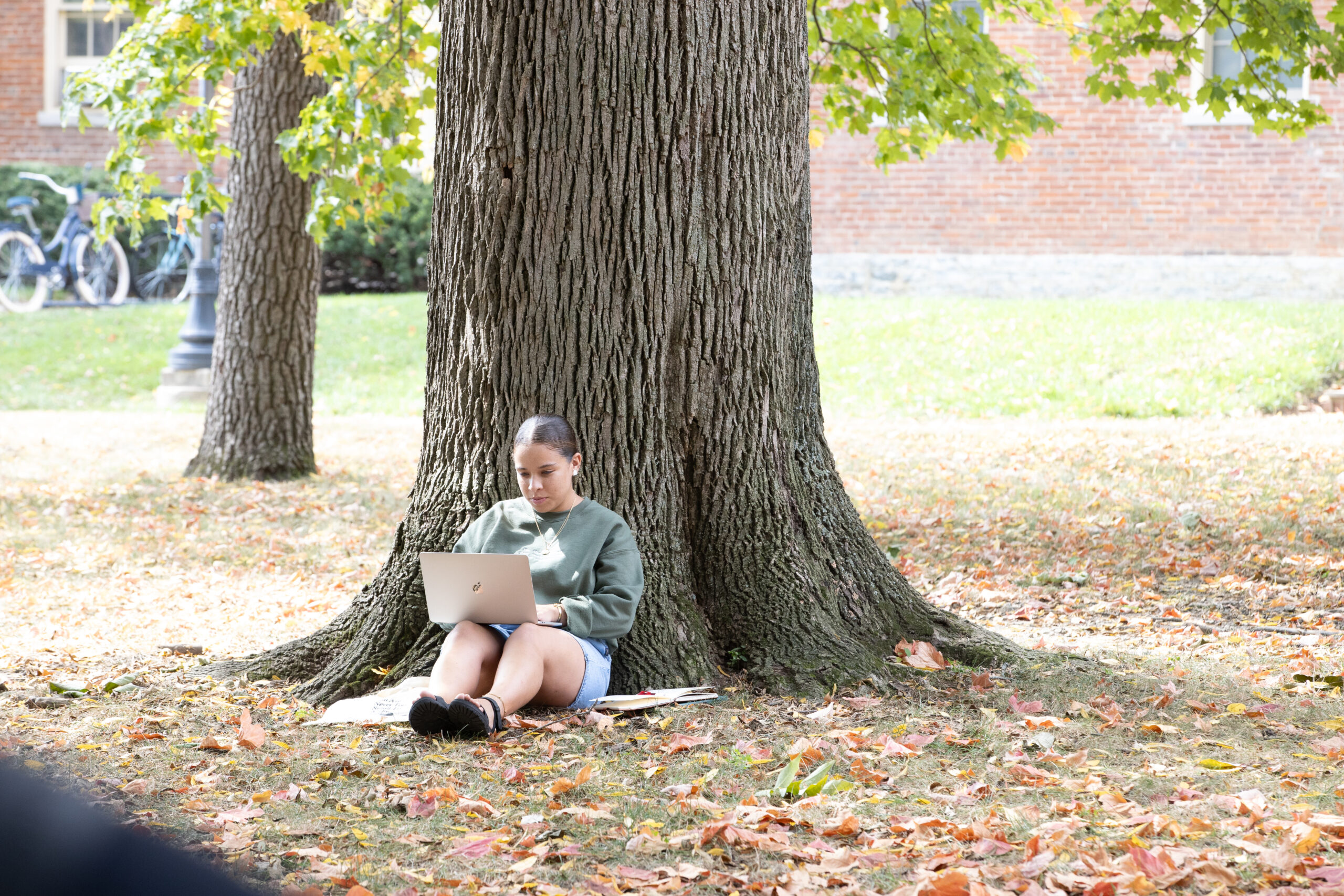 Student sitting under tree working on group project online