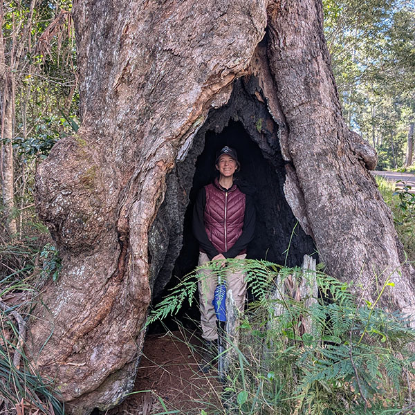 Aurelia V, inside of a tree trunk on an Earth Expedition trip in Austrailia