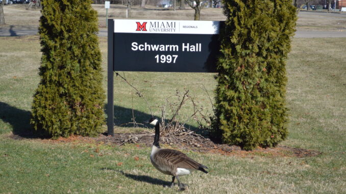 A Canada goose stands in front of the Schwarm Hall sign