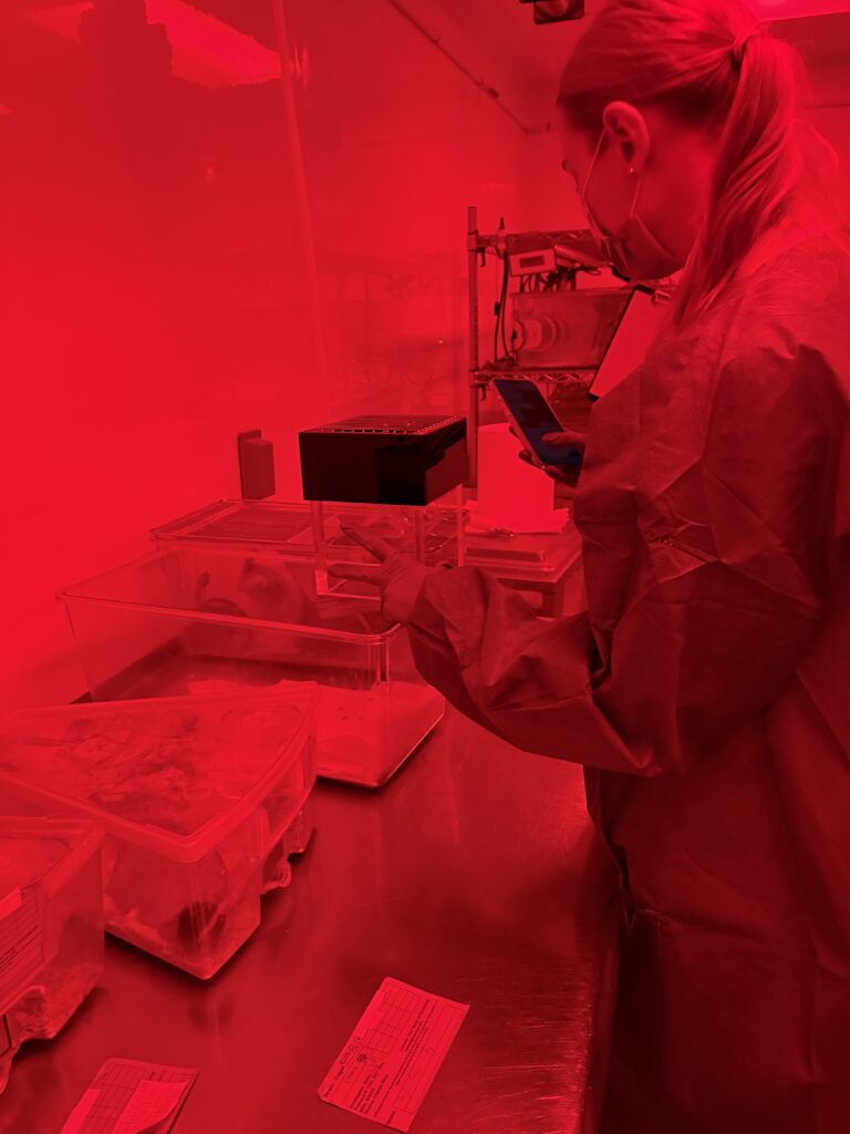 8h of IC