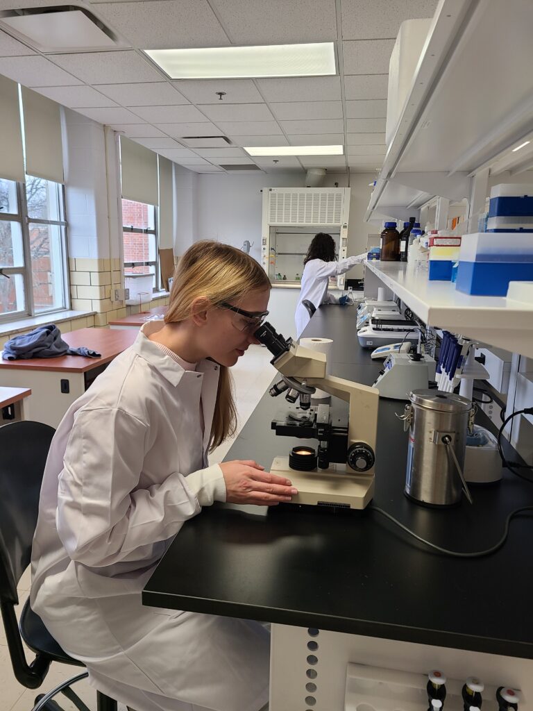 Microscope R212