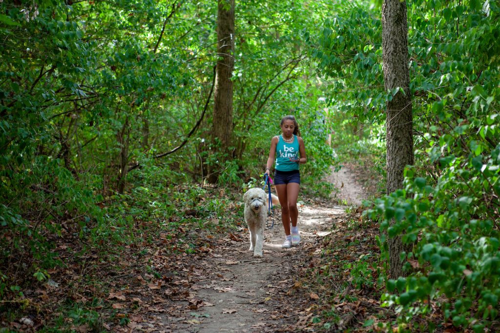 A girl walking her white medium sized dog on a trail in the woods