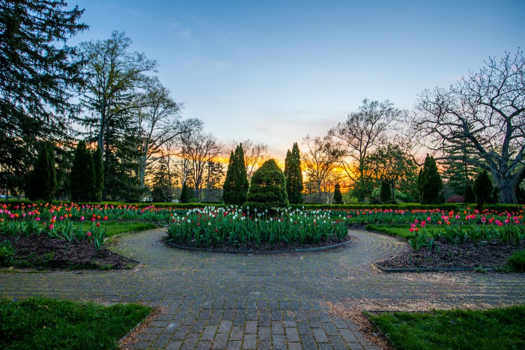 The Formal Gardens