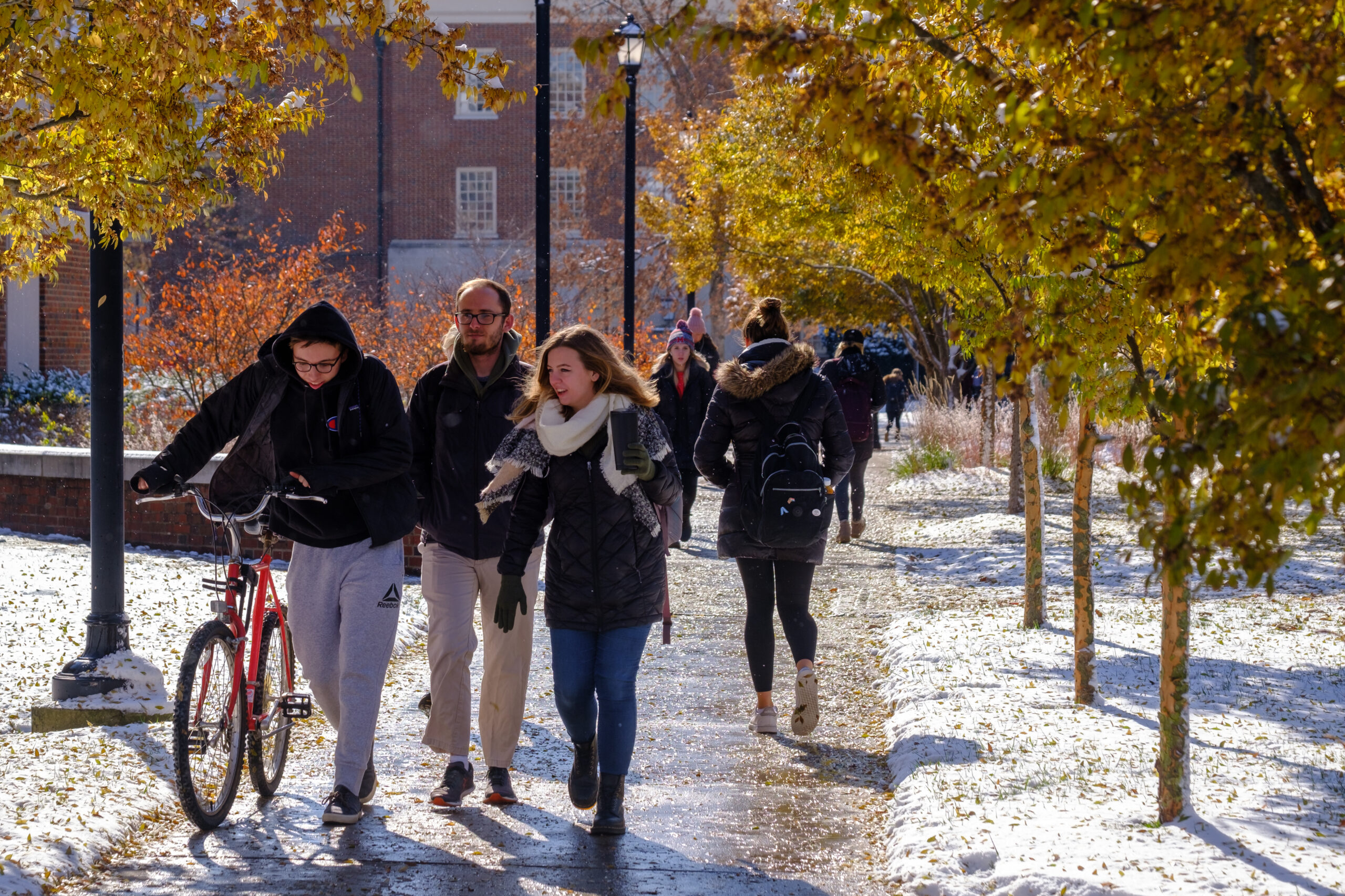 Students in winter coats walking around campus with yellow-leafed trees and snow on the sidewalks