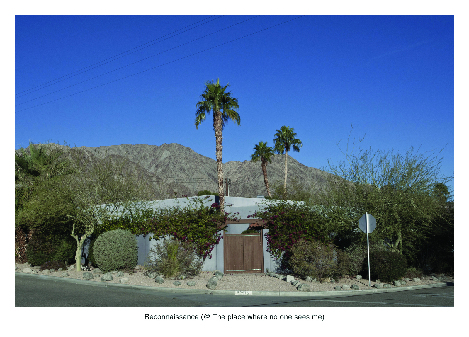 04-LarsonShindelman-Reconnaissance (La Quinta, CA) 2011 copy