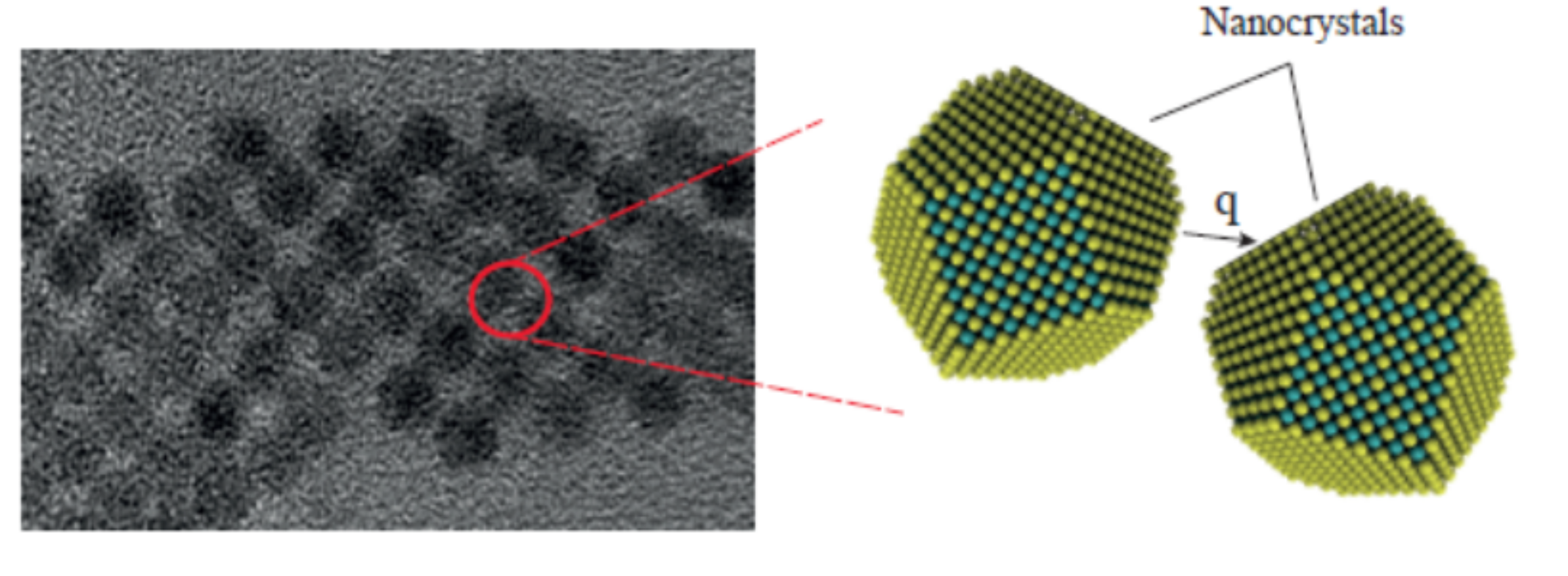 Nanoscale Heat Transfer